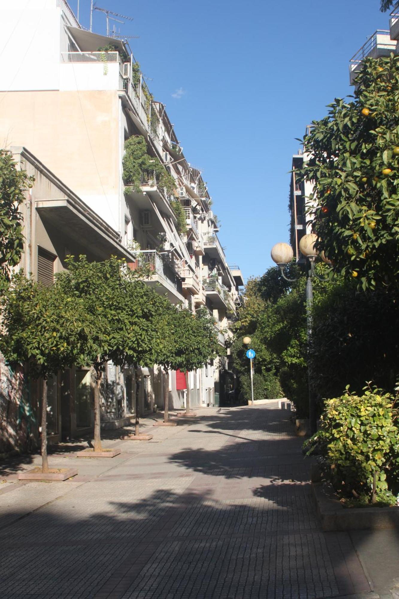 "Under The Olive Tree"- Beautiful Apartment In The Heart Of Αθήνα Εξωτερικό φωτογραφία